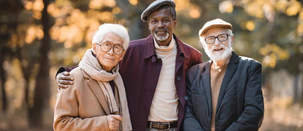 Пожилые мультикультурные друзья смотрят в камеру осенью на открытом воздухе, баннер — стоковое фото