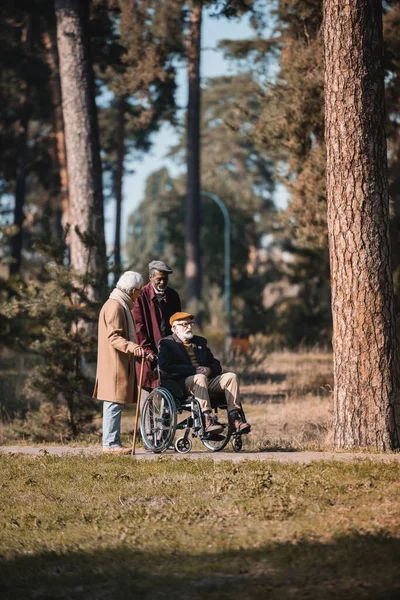 Hombres mayores interraciales caminando cerca de amigos en silla de ruedas en el parque de otoño - foto de stock