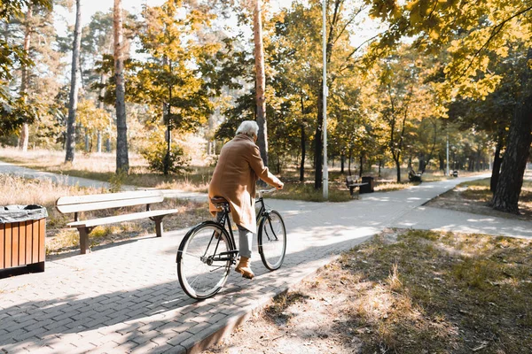 Homem idoso andando de bicicleta no parque de outono — Fotografia de Stock