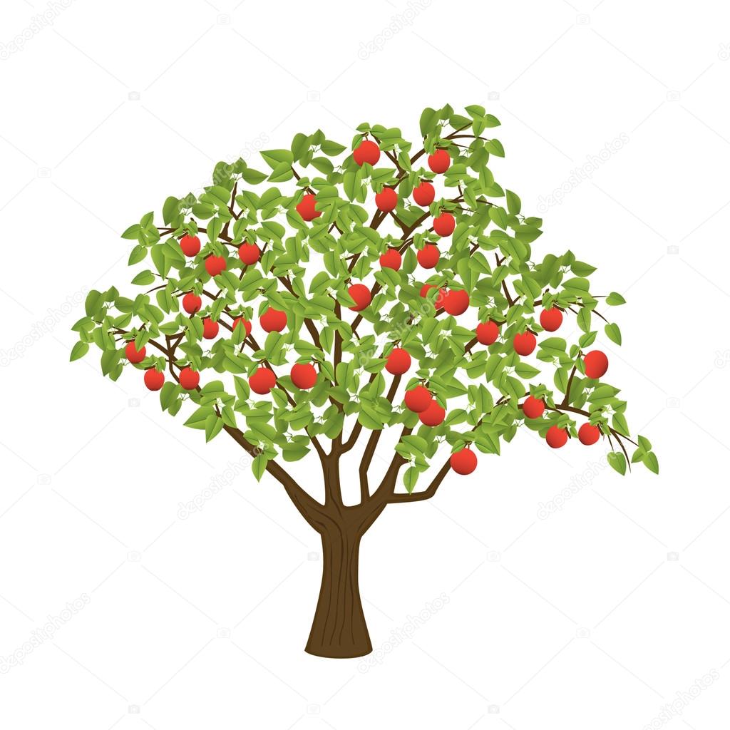 Яблоня дерево символ. Яблоневое дерево с красными яблоками. Красные яблоки на дереве. Яблоня с яблоками на белом фоне. Яблоня с красными яблоками рисунок.