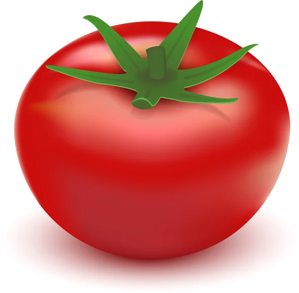 Tomate — Vetor de Stock