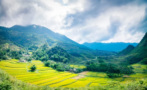 Beau Terrain Mitoyen Dans District Tua Chua Province Dien Bien — Photo