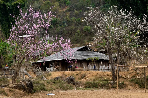 Uma Casa Meio Campo Terra — Fotografia de Stock