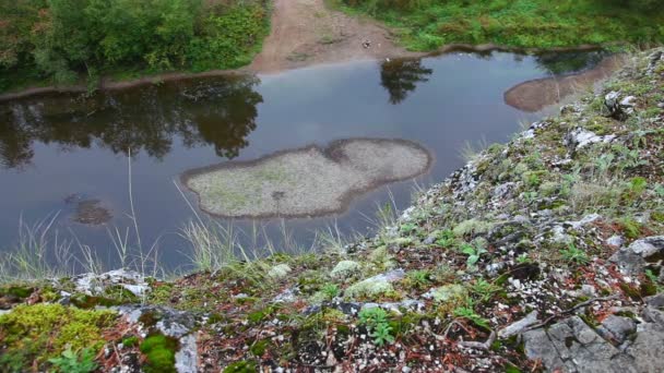 Río, bosque — Vídeo de stock