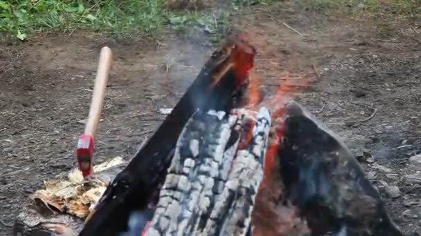 Fuego sobre la naturaleza — Vídeo de stock