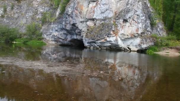 Río, bosque — Vídeos de Stock