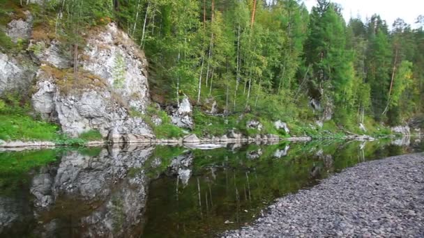 Река, лес — стоковое видео