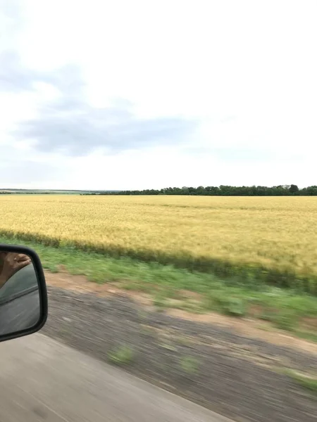 Schöne Natur Taganrog — Stockfoto