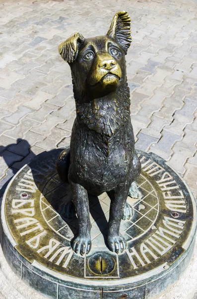 Άγαλμα moneybox «αδέσποτο σκυλί" — Φωτογραφία Αρχείου