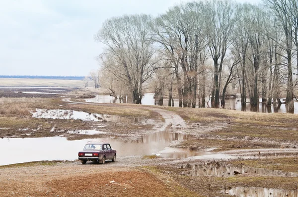 Bahar tezcan. Daha fazla yolu yoktur
