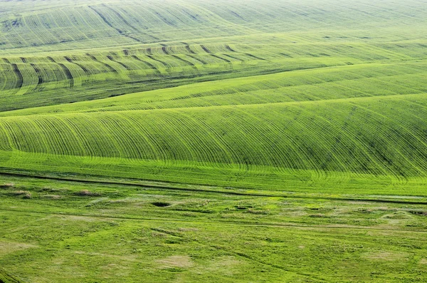 Campo de primavera. Vista de cima — Fotografia de Stock