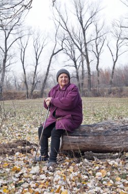 Sonbahar ormandaki yaşlı bir kadın. Mantar Zamanı