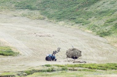 Biçilmiş yükleme saman