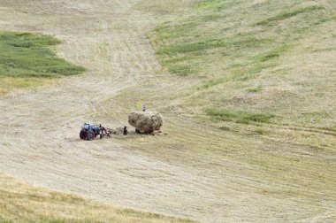 Haymaking. Biçilmiş yükleme saman