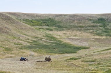 bir yamaca haymaking