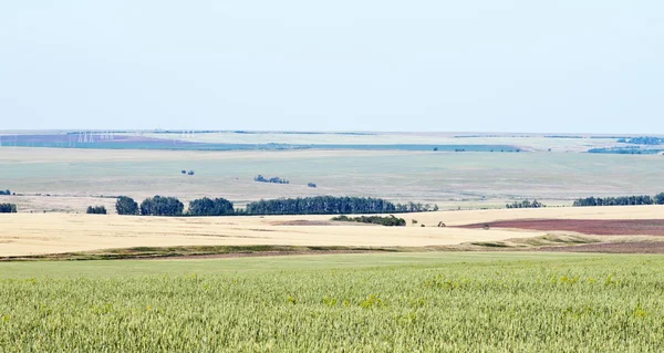 Paisaje rural con campos agrícolas —  Fotos de Stock