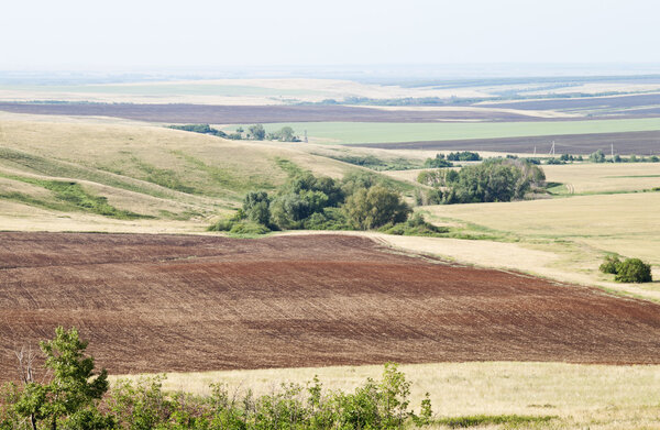 Rural landscape. Ploughed field