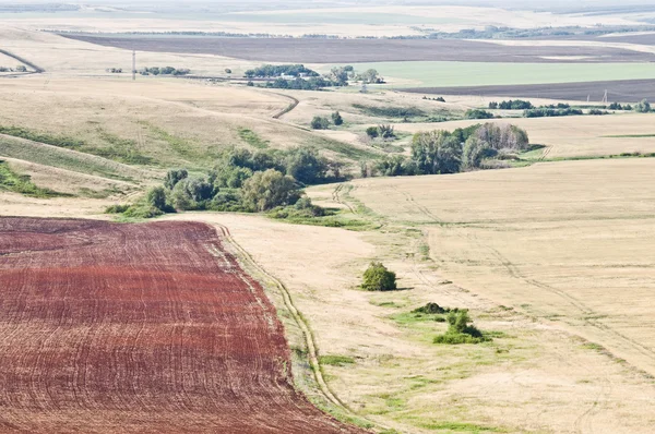 Terrenos agrícolas. Campo arado — Foto de Stock