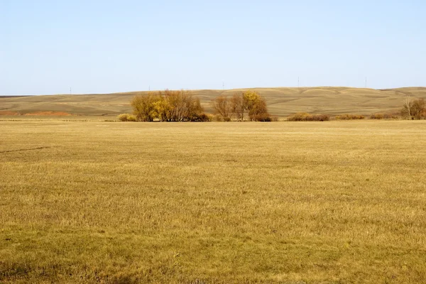 Landscape with autumn steppe — Stock Photo, Image