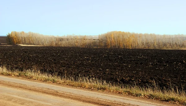 Arable land. Rural landscape — Stock Photo, Image
