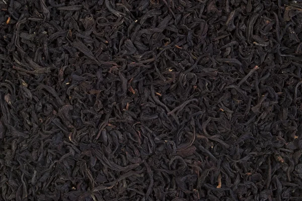 Thé aux feuilles noires — Photo