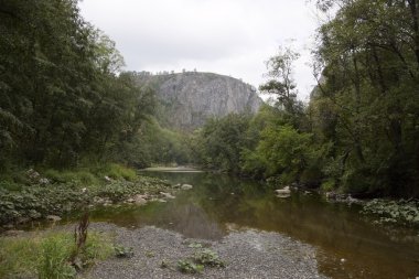 Ormanlık rock. Dağ manzarası