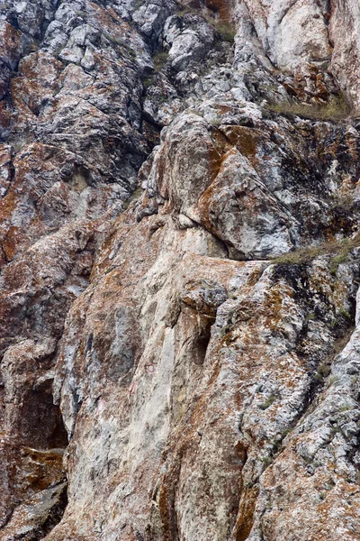 Rock som skogsmark. Bergslandskap — Stockfoto