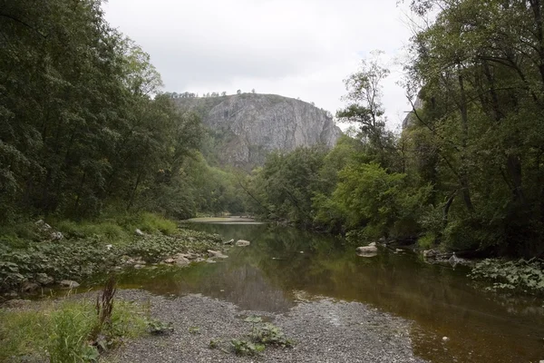 Ormanlık rock. Dağ manzarası
