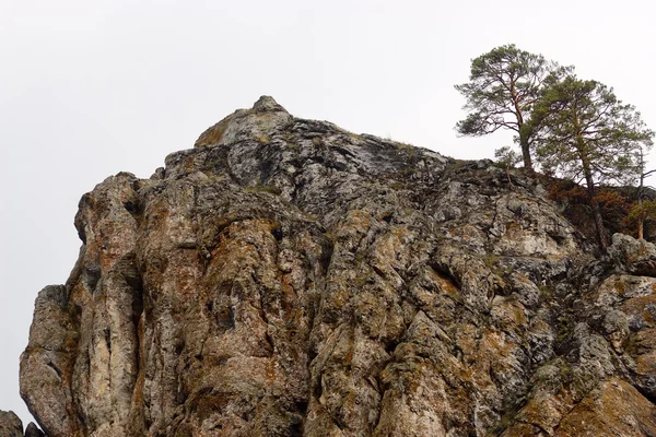 Rock. Södra Ural — Stockfoto