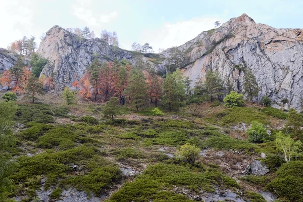 Ορεινό τοπίο. Νότια Ουράλια. Φαράγγι Muradymovskoe — Φωτογραφία Αρχείου