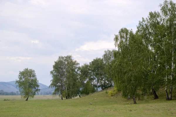 Dağ manzarası. Güney Urallar — Stok fotoğraf