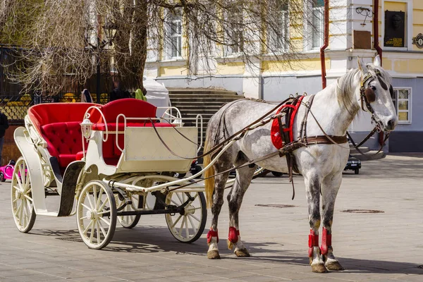 Orenburg Sovetskaya Street Russia May 2021 Carriage Horse City Street — 图库照片