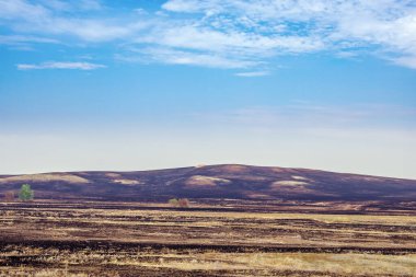 Bozkır yangınından sonra. Orenburg bölgesinin Sol-Iletsk ilçesi, Rusya