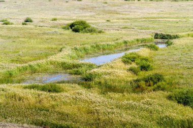 Steppe nehri otla kaplanmış bankalarla dolu. Rusya 'nın Chelyabinsk bölgesindeki Bolshaya Karaganka Nehri