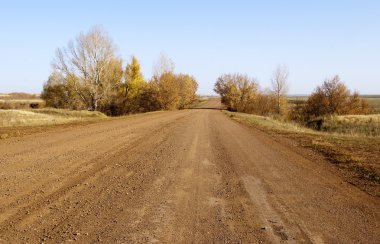 Toprak yol. Sonbahar