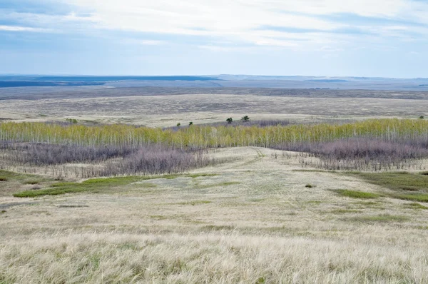 Spring steppe landscape — Stock Photo, Image
