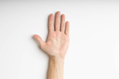 Human hand with open fingers on a white background, top view.