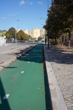 Lizbon, Portekiz 'de güneşli bir günde, üzerinde beyaz bisiklet sembolleri ve dağınık sonbahar yapraklarıyla kaplı yön okları olan yeşil bisiklet yolunun yakın çekimi. Sürdürülebilir ulaşım ve çevre dostu hareketliliği teşvik eden kentsel bisiklet yolu kavramı.