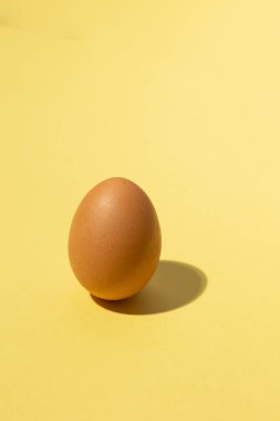 Kahverengi yumurta sarı arka planda dikiliyor..