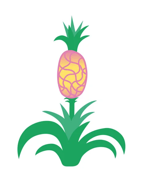 Abacaxi Com Frutas Ilustração Vetorial Isolada Sobre Fundo Branco —  Vetores de Stock