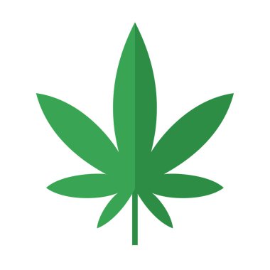 Kenevir yaprağı. Düz vektör çizimi beyaz üzerine izole edildi.