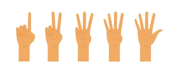 Χέρια Μετράνε Από Ένα Πέντε Μετρώντας Χέρια Χειρονομίες Διανυσματική Επίπεδη — Διανυσματικό Αρχείο
