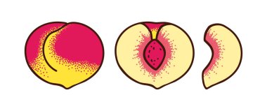 Tam şeftali ve beyaza izole edilmiş iki çeşit dilim. Yarısı ve bir dilim şeftali. Dokuya sahip vektör illüstrasyonu.