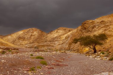 Yağmurdan önce Red Canyon İsrail