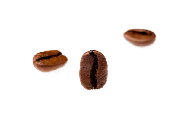 Grãos de café em um fundo branco — Fotografia de Stock