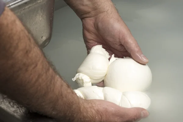 bir süt mozzarella hazırlanması
