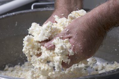 bir süt mozzarella hazırlanması