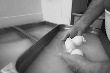 bir süt mozzarella hazırlanması