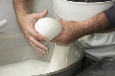 preparation of mozzarella in a dairy clipart