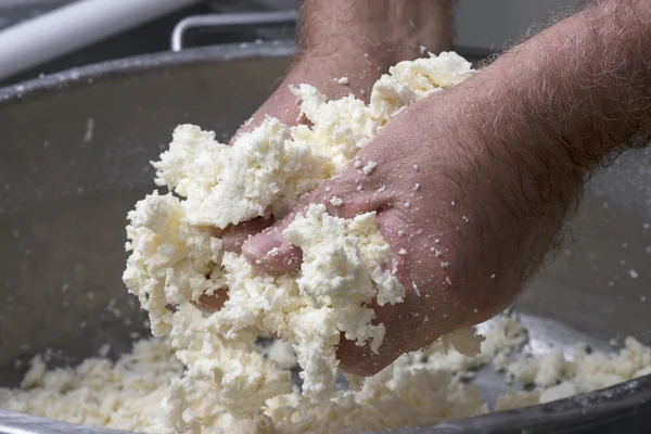 Voorbereiding van mozzarella in een zuivelfabriek — Stockfoto